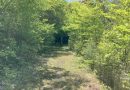 [滋賀県／蒲生郡竜王町] 希望が丘ULTRUNRACE