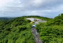[神奈川県／横須賀市] 大楠山ミニマウンテンマラソン